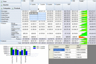 RadarCube Windows Forms Desktop OLAP screenshot